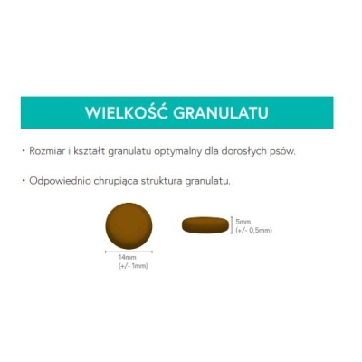 Karma sucha dla psa dorosłego ras średnich LabraDog Superfood GFH Indyk z batatami i żurawiną 2kg