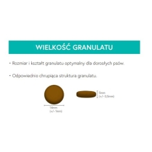 Karma sucha dla psa dorosłego ras średnich LabraDog Superfood GFI Łosoś z pstrągiem, batatami i szparagami 2kg